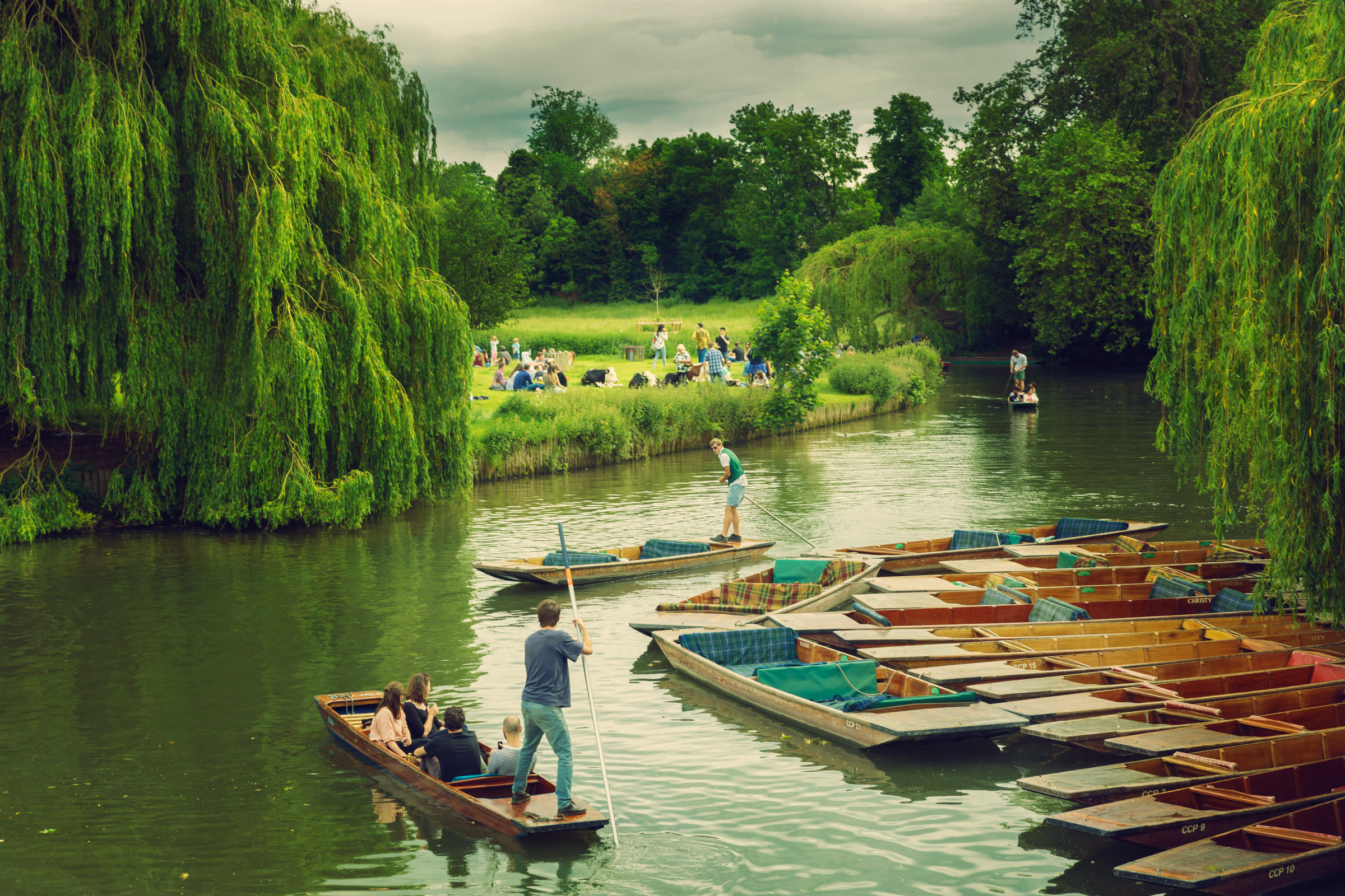 Students punting on the River Cam beneath willow trees, with moored punts lined along the bank